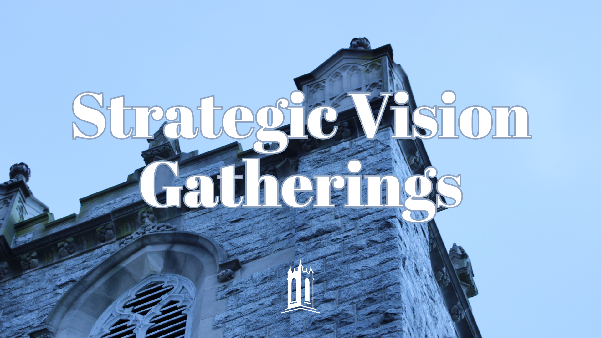 Strategic Vision Gathering: Online, facilitated by Amanda Beadle